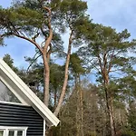 Architect's Timber House In Woods By Tisvilde *
