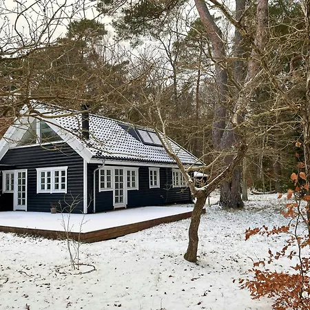Architect's Timber House In Woods By Tisvilde *