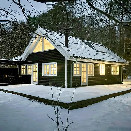 Architect's Timber House In Woods By Tisvilde *