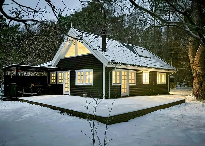 Architect's Timber House In Woods By Tisvilde *