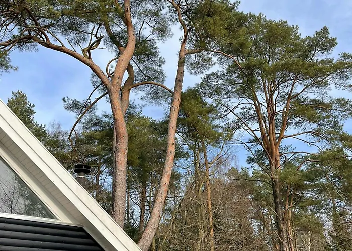 Architect's Timber House In Woods By Tisvilde *